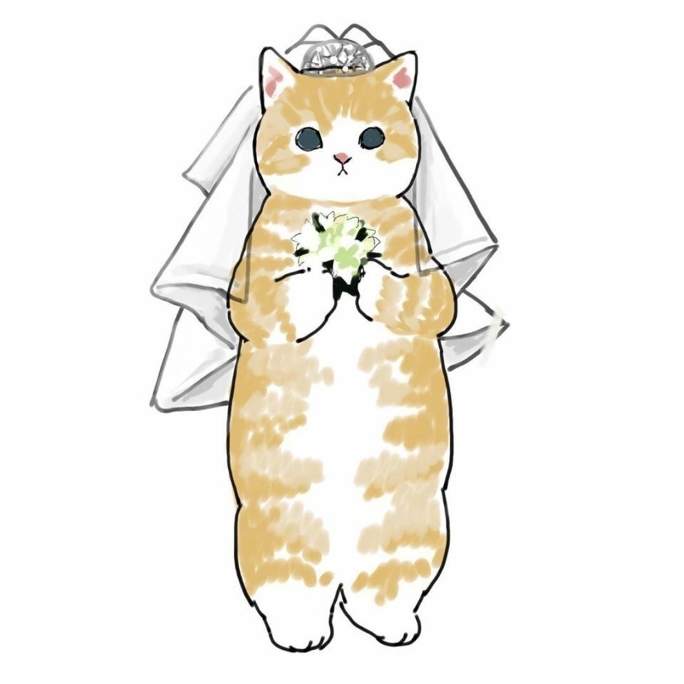 Кошка принцесса