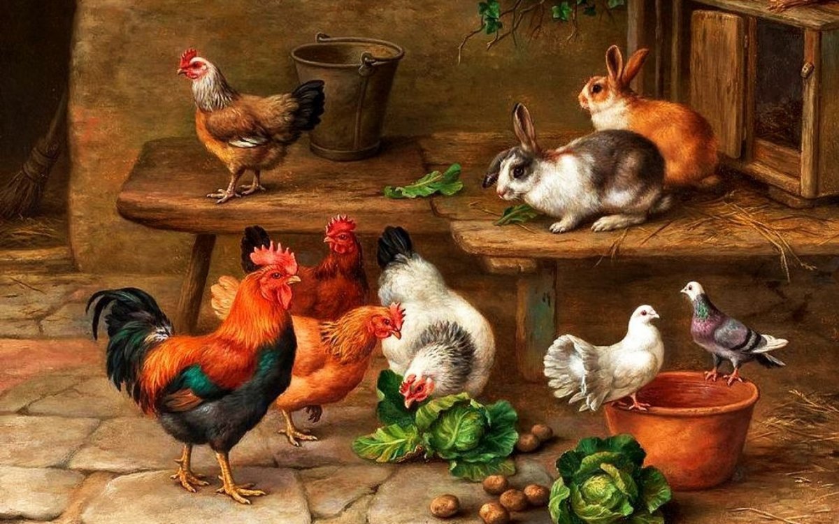 Брама плимутрок