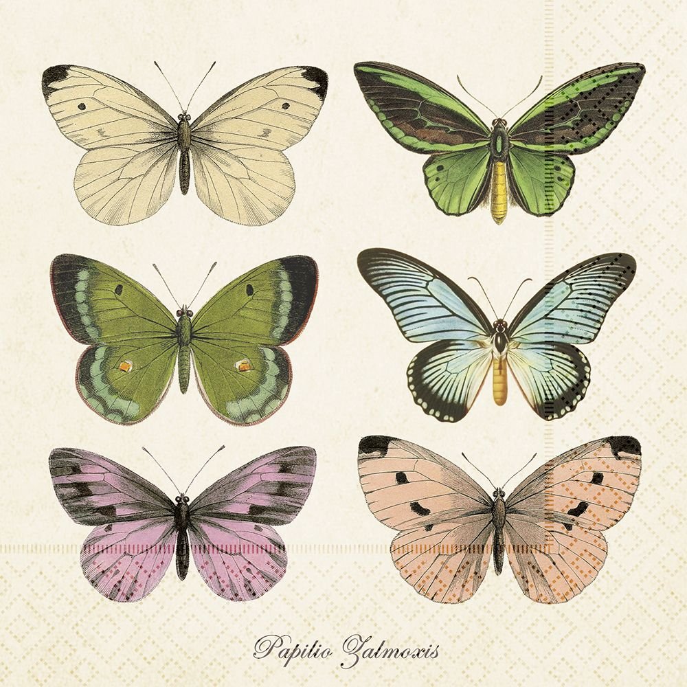 Винтажные бабочки для распечатки