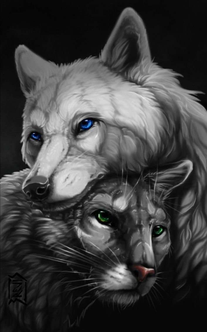 Волк и кошка арт