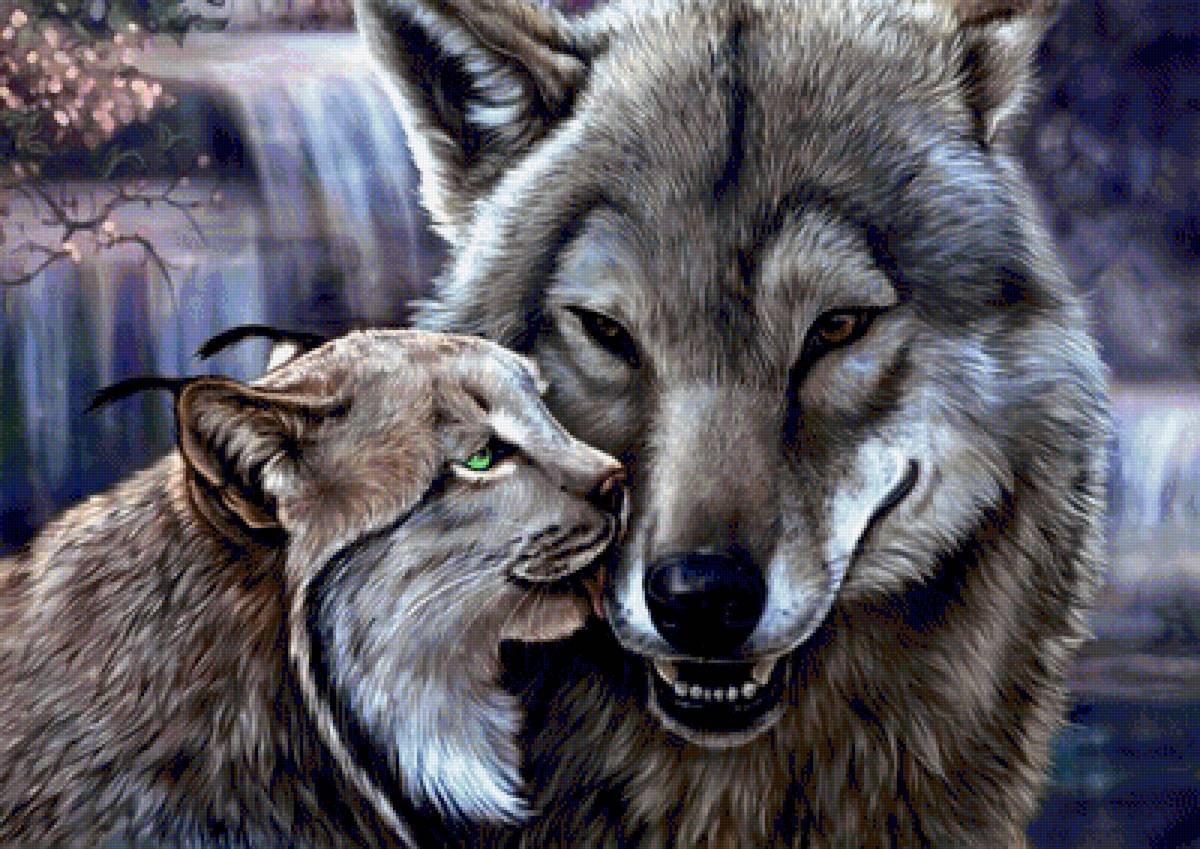 Волк и Рысь любовь