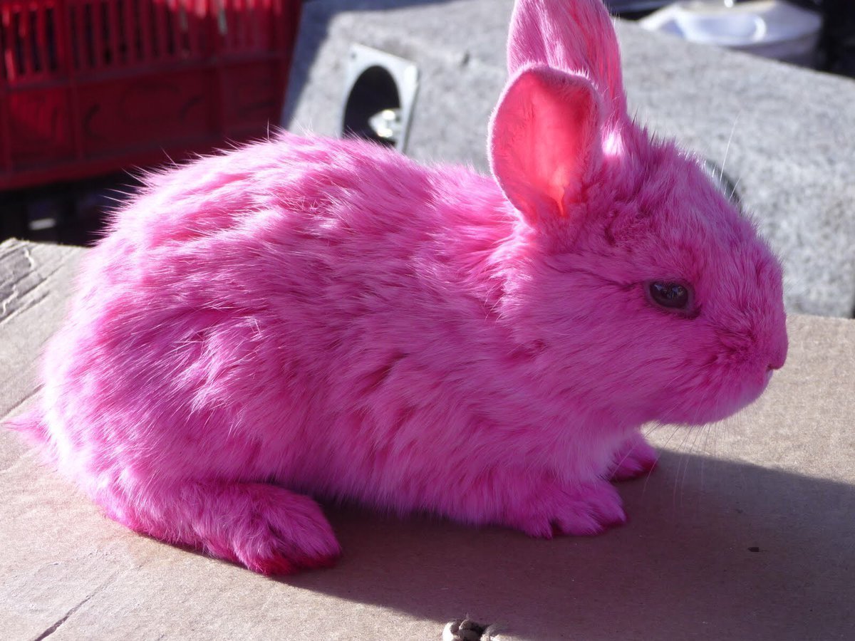 Зайчик в цветах