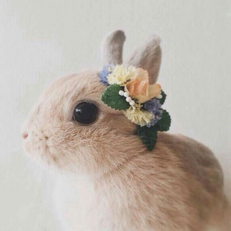 Паттерн кролики