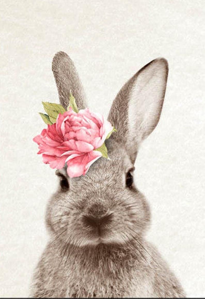 Пушистый Зайка