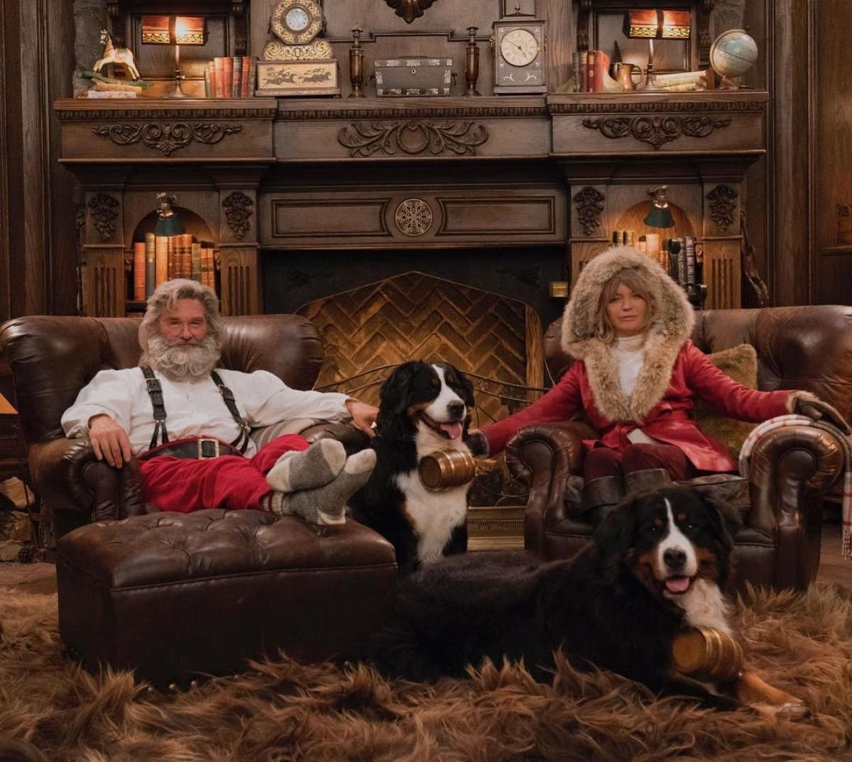 Джек Рассел щенок