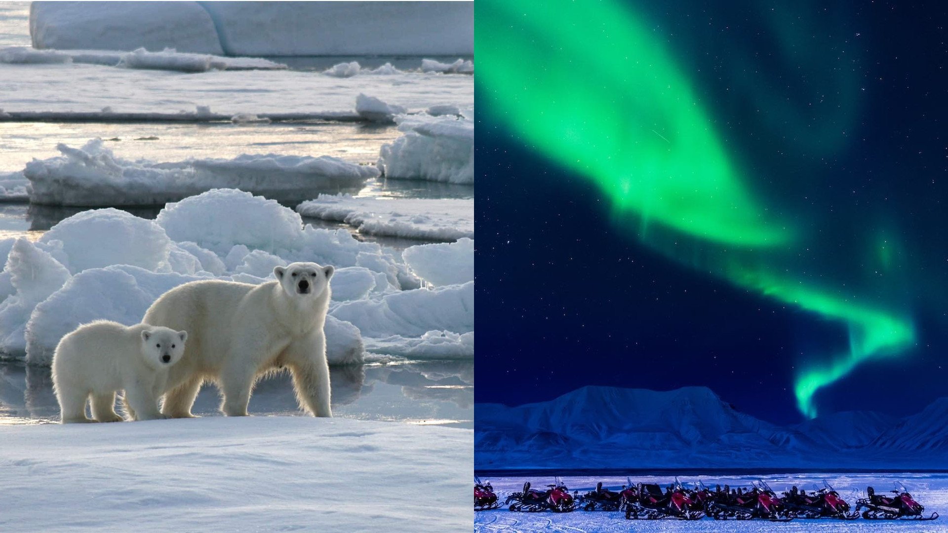 3 полярный мир. Северно Ледовитый океан Северное сияние. Зона арктических пустынь Северное сияние. Северный полюс Арктика и Антарктика. Арктическая пустыня Северная земля.