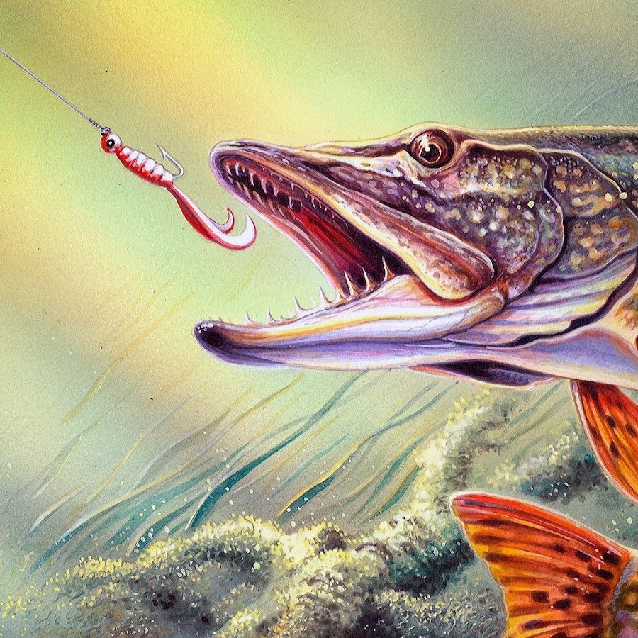 Александр Дегтев рыба