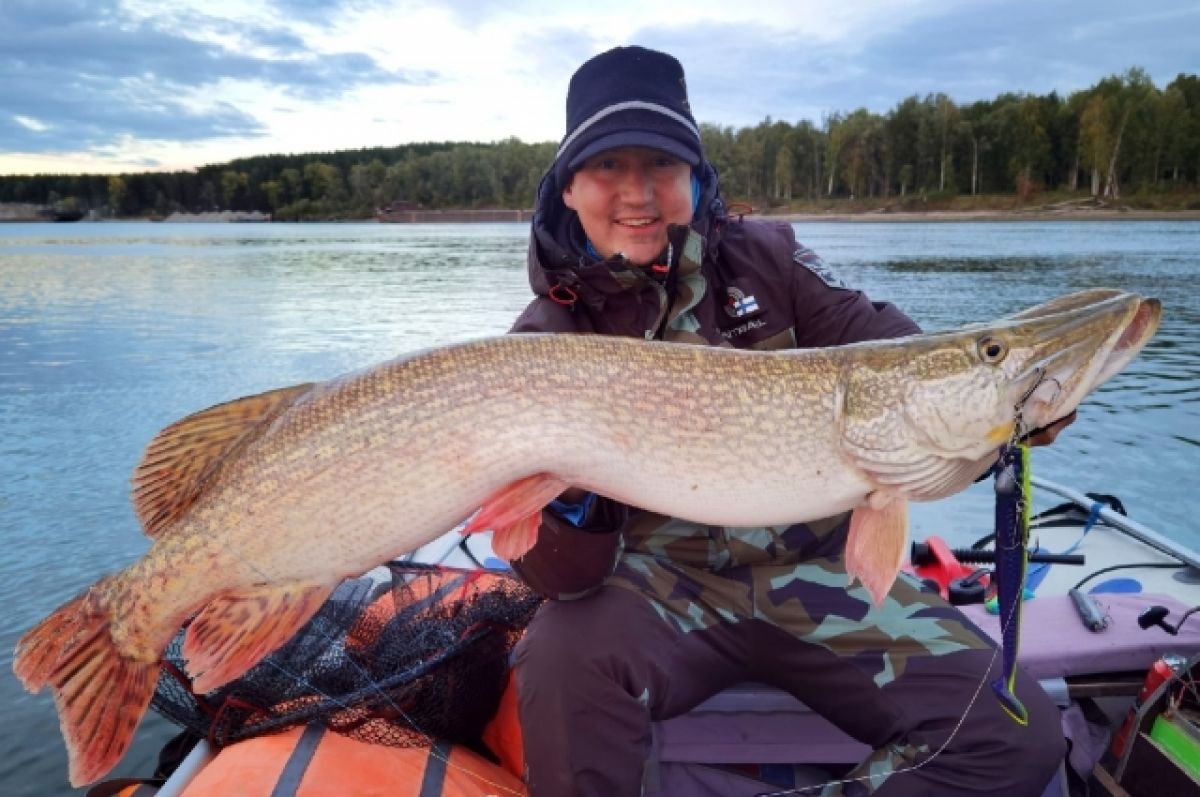 Крупная щука