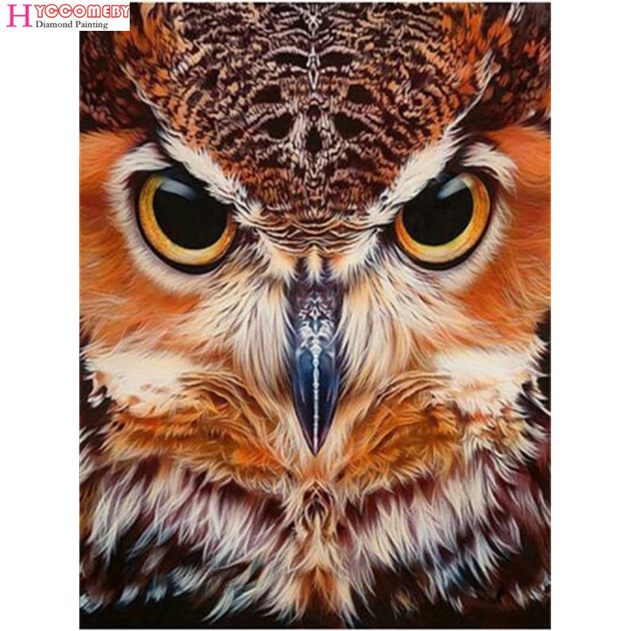 Глаза животных