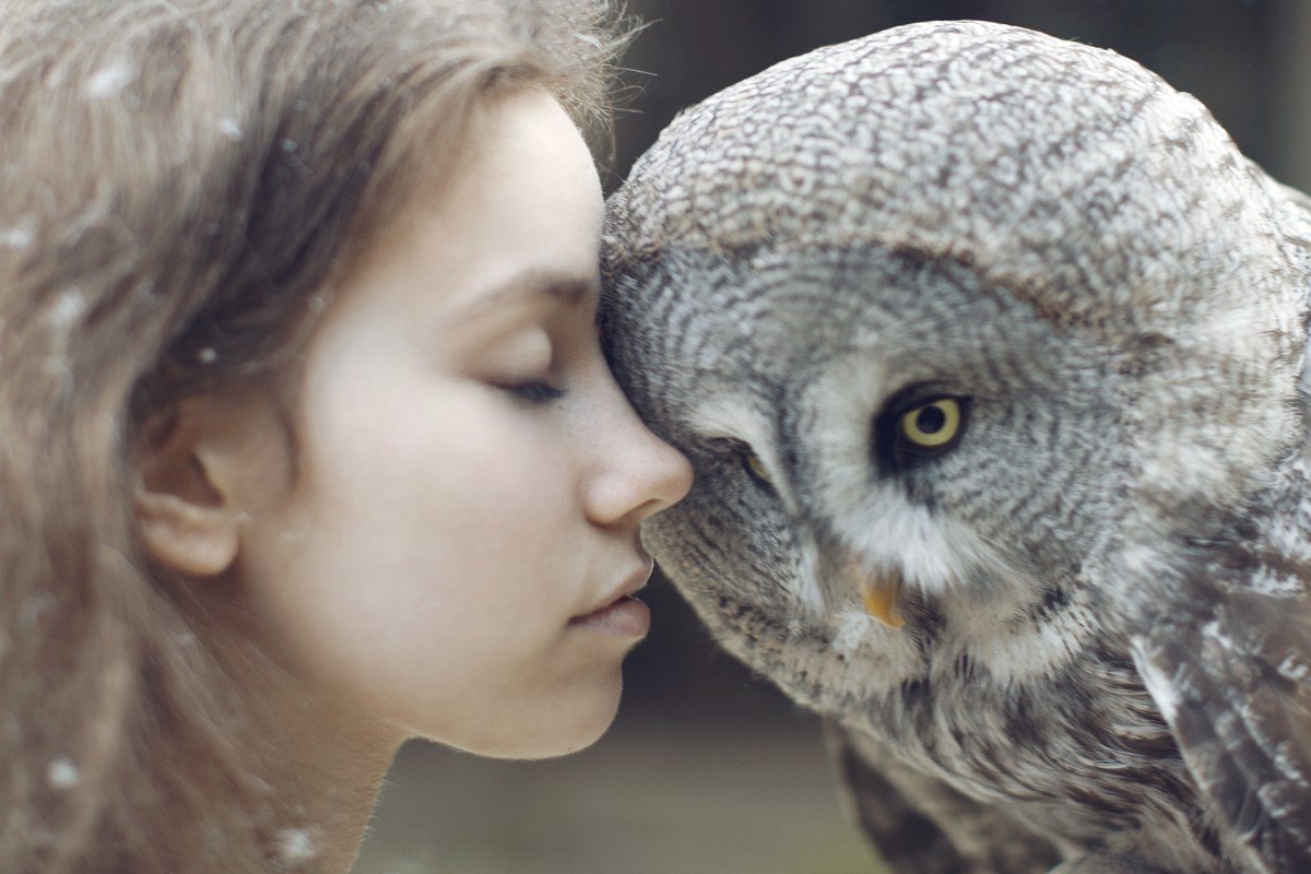 Человек Сова