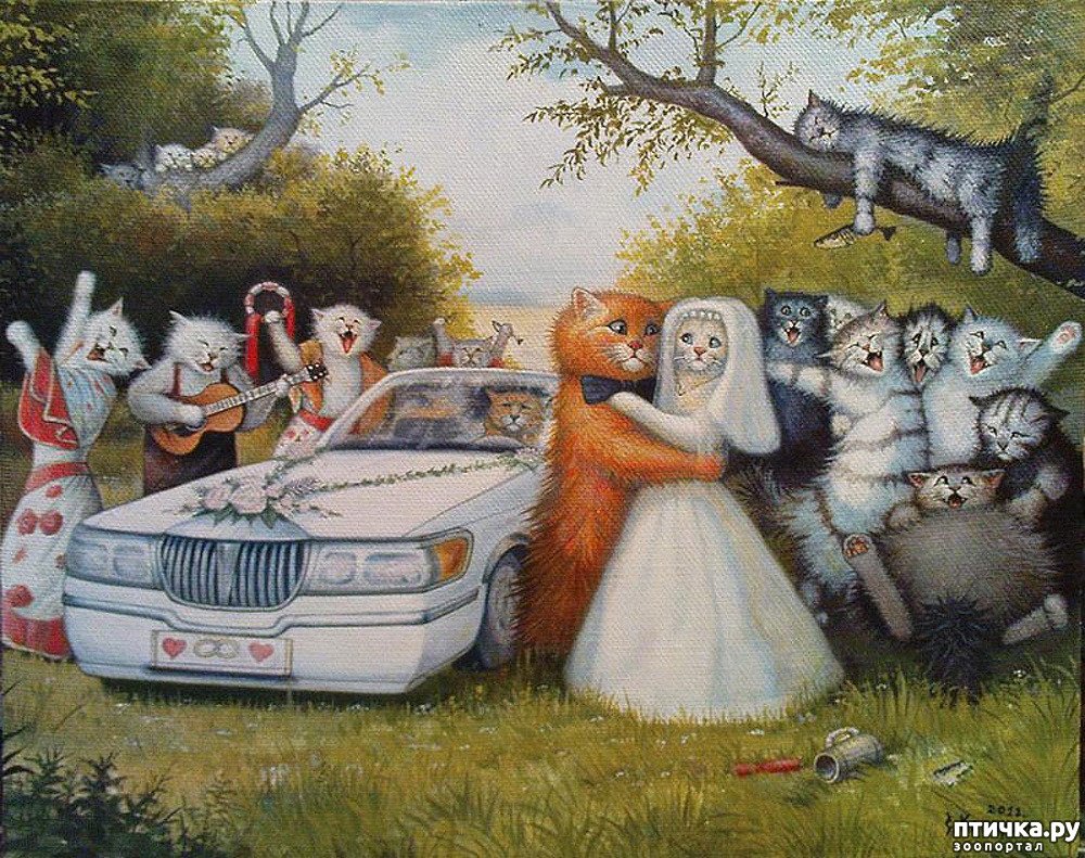 Коты художника Степана Каширина