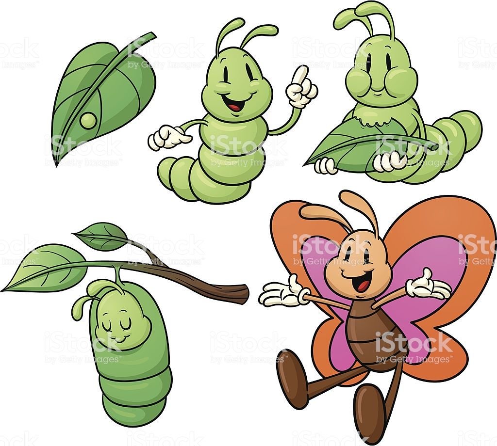 Превращение гусеницы в бабочку для детей