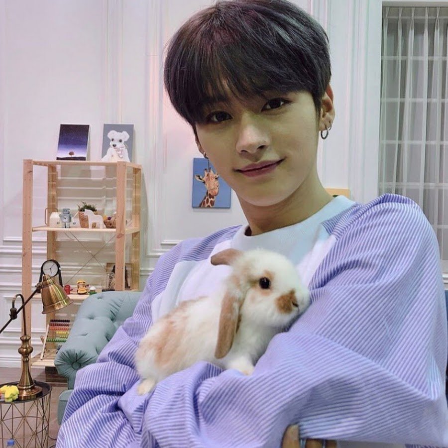 Stray Kids кошки Минхо