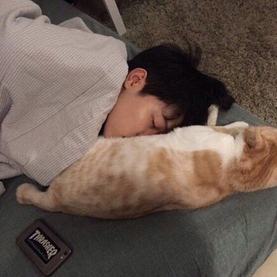 Спящий Чимин из BTS