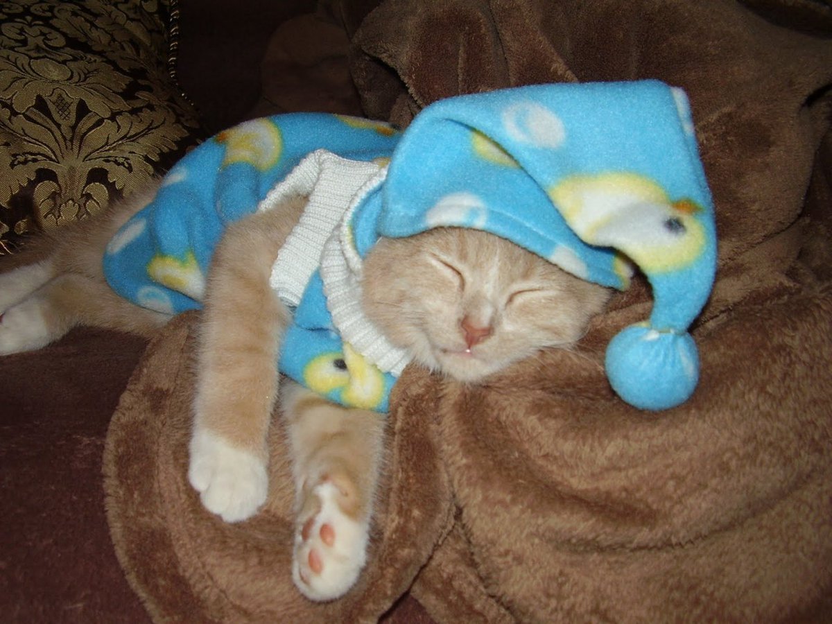 Пижама котенок