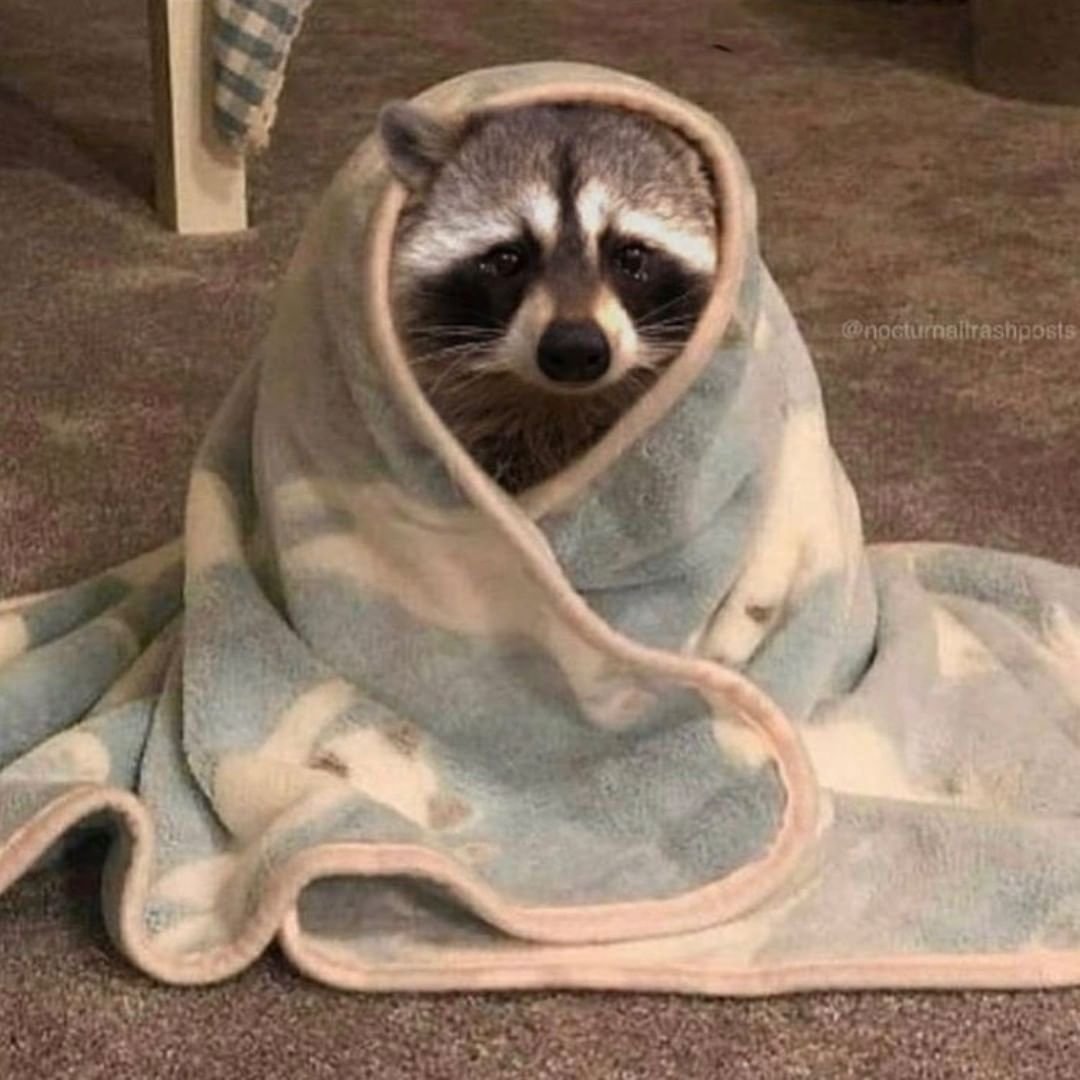 Пипец холодрыга Мем 2020