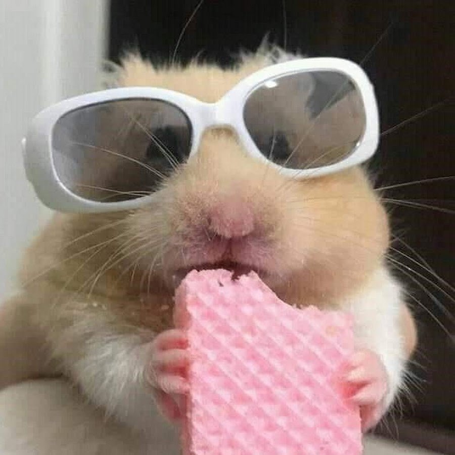 Агрессивный хомяк