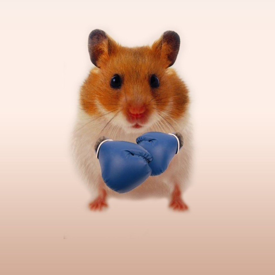 Серьезный хомяк