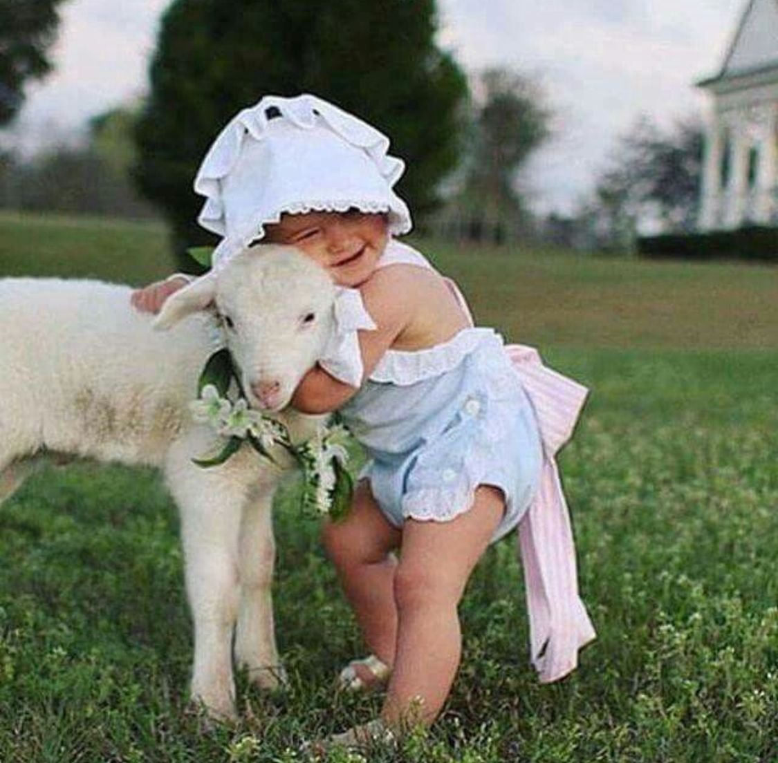 Коза для детей