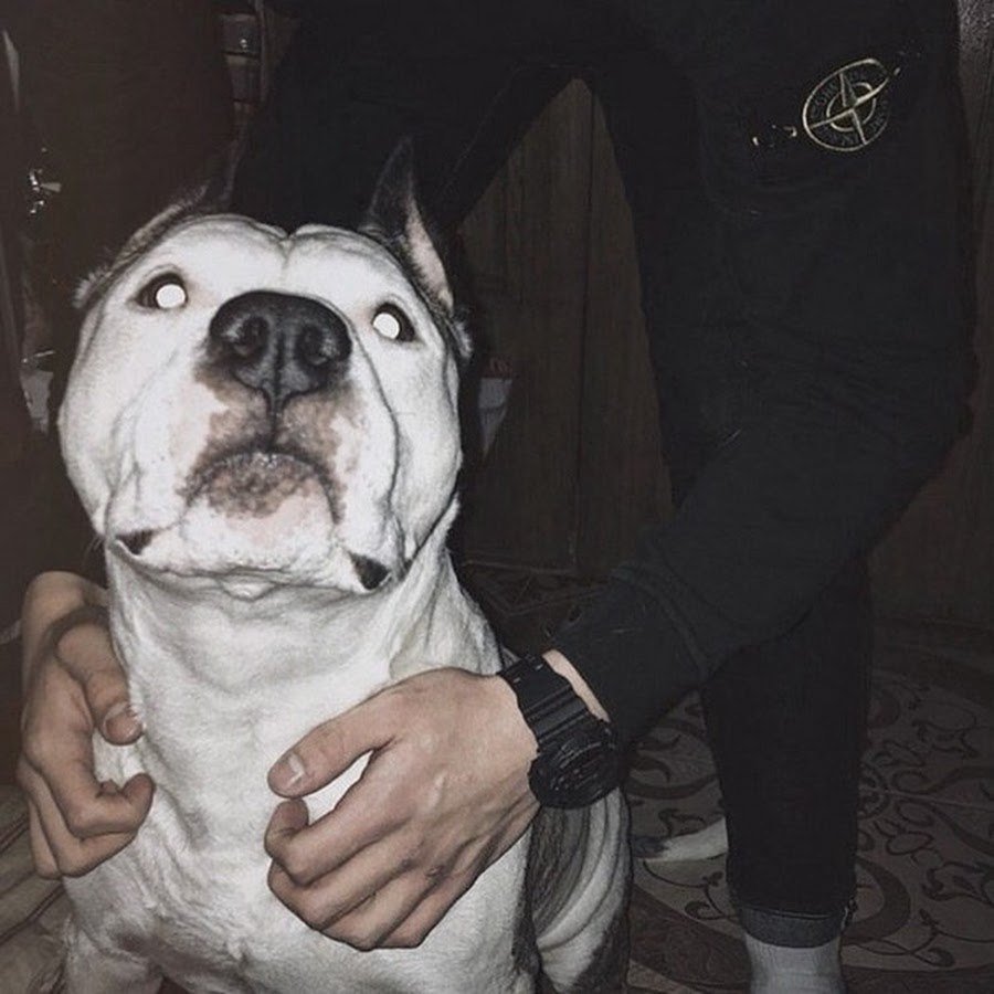 Алексей Ходукин