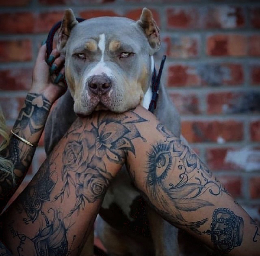 Парень со стаффом