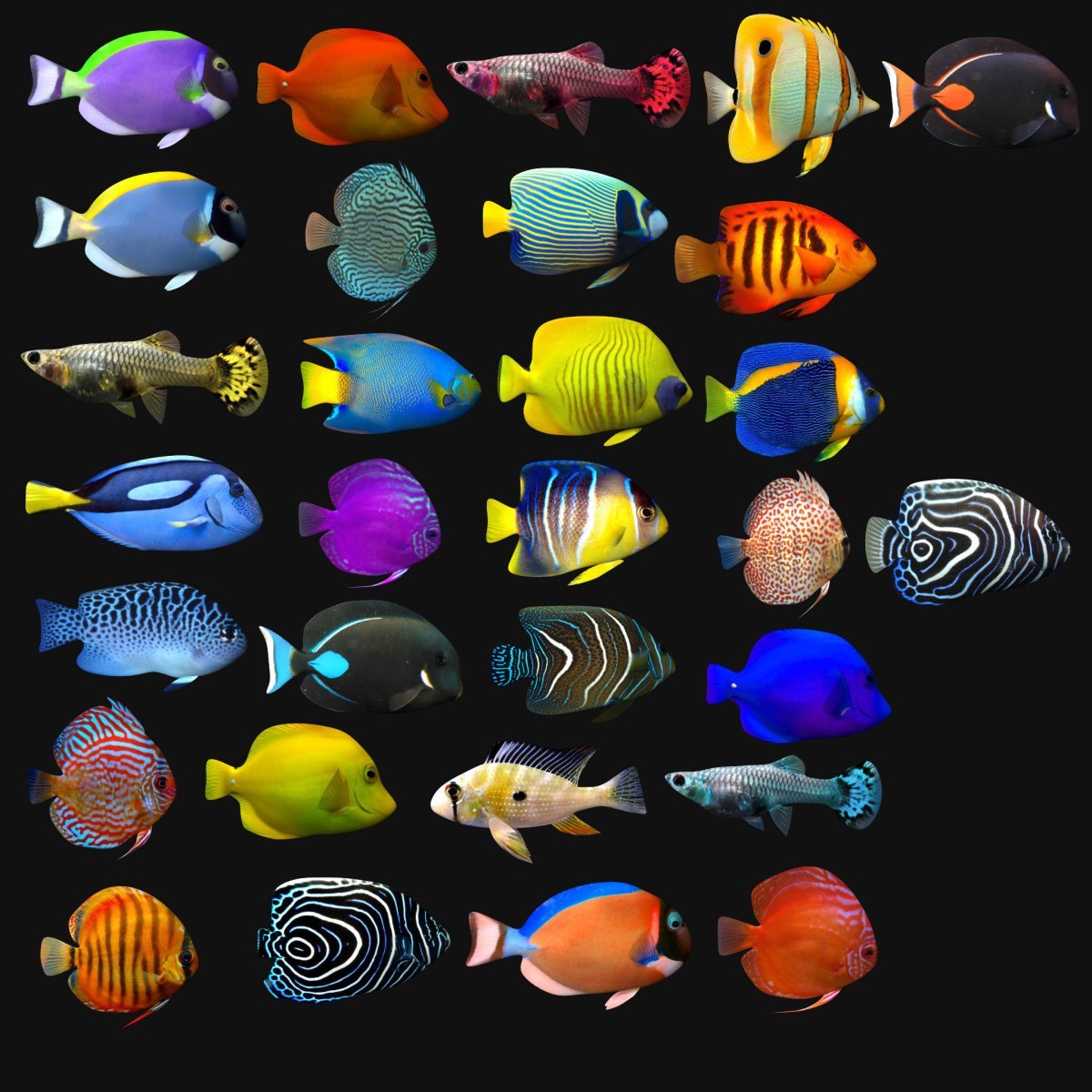 Тропические рыбки