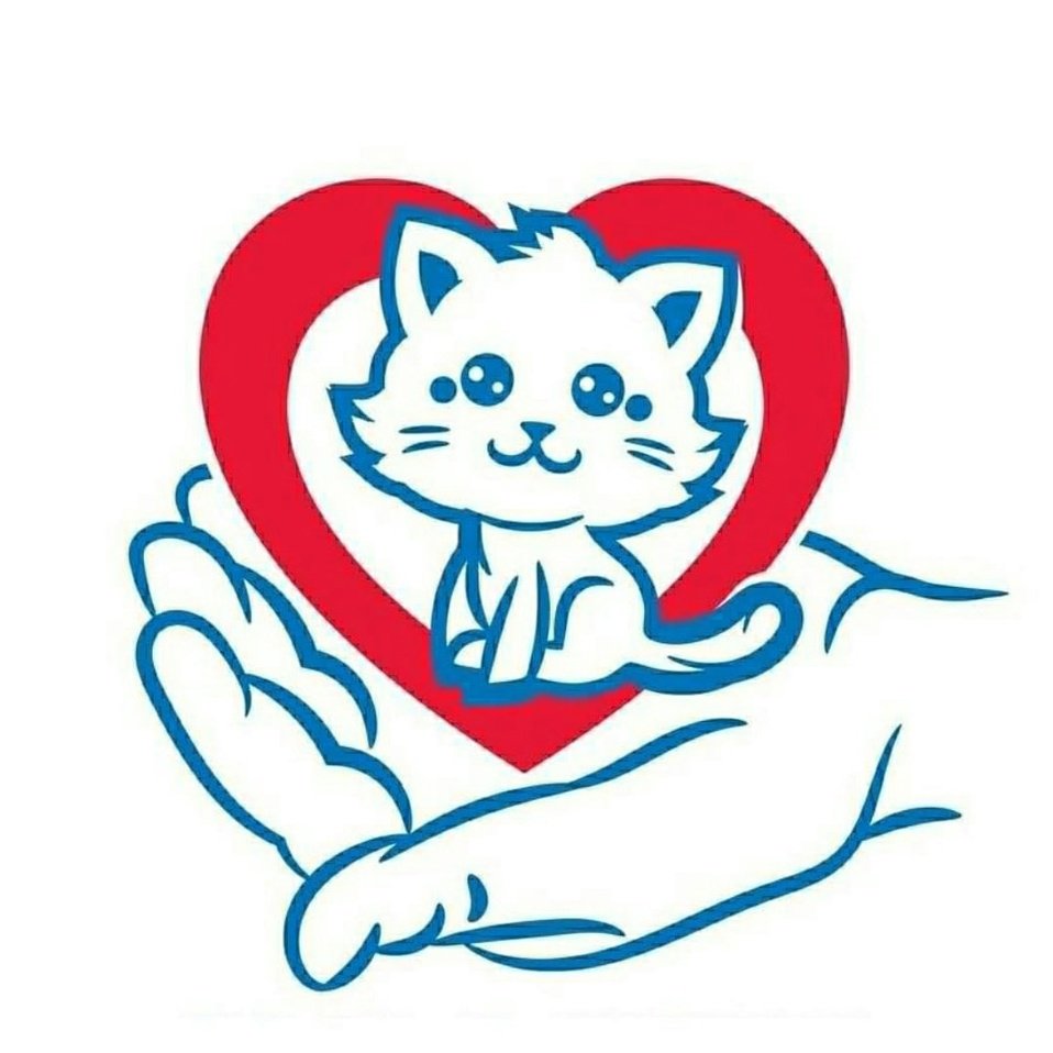 Кошка Триколор