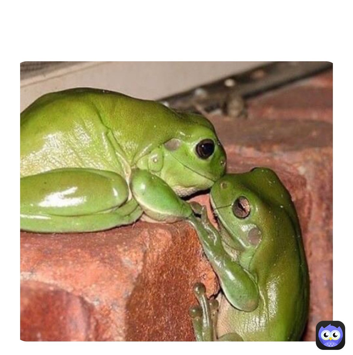 Невиданные животные