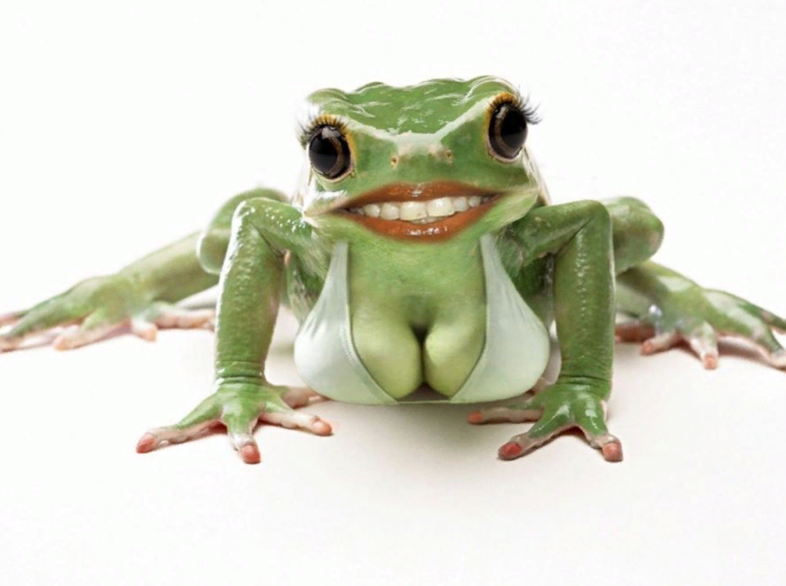 Человек лягушка