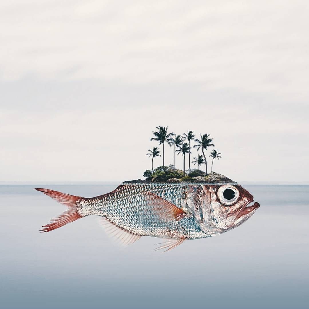 Сумасшедшие рыбы