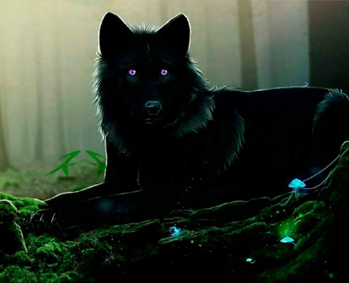 Черный волк