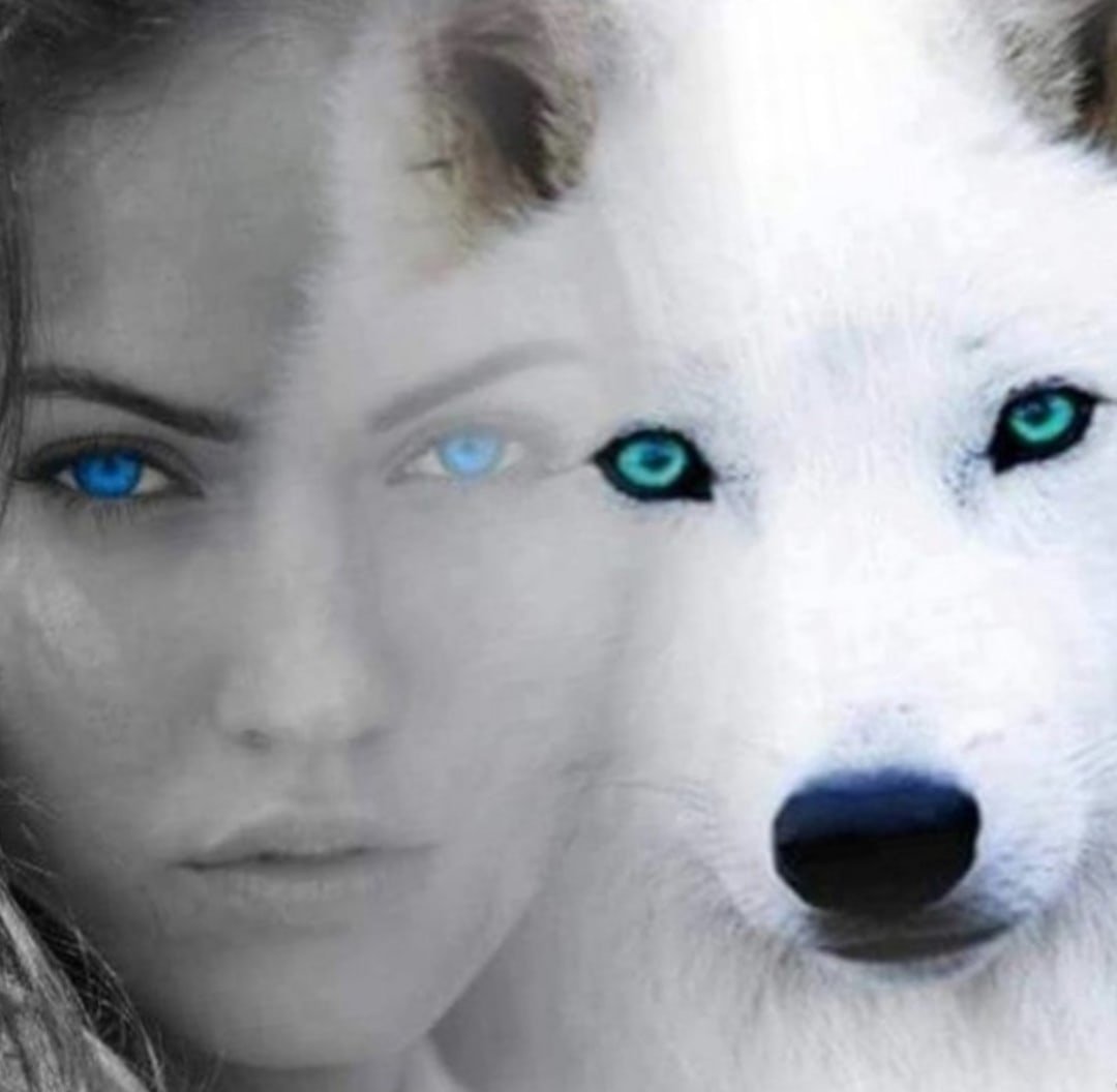 Волчьи глаза у девушки