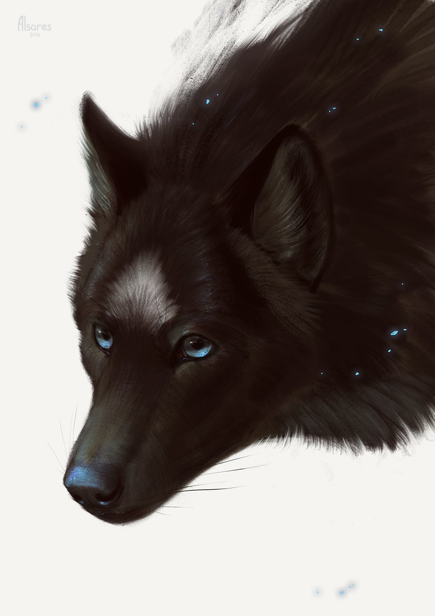 Блэк Вульф волчица аниме