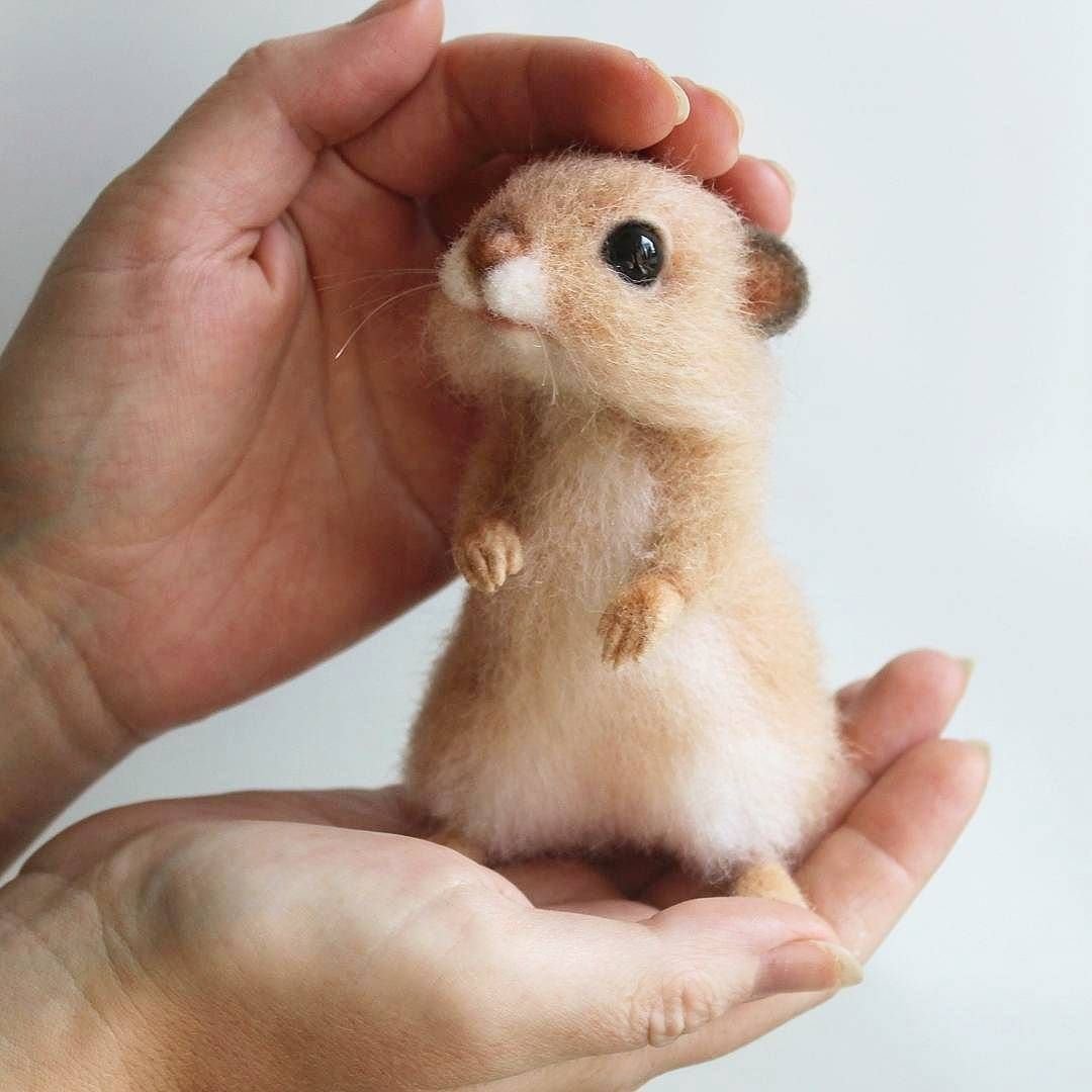 Валяные игрушки хомячки