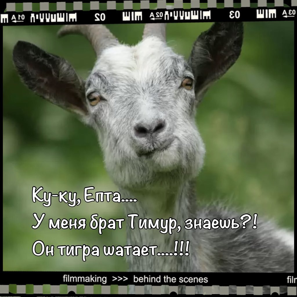 Козлиная морда