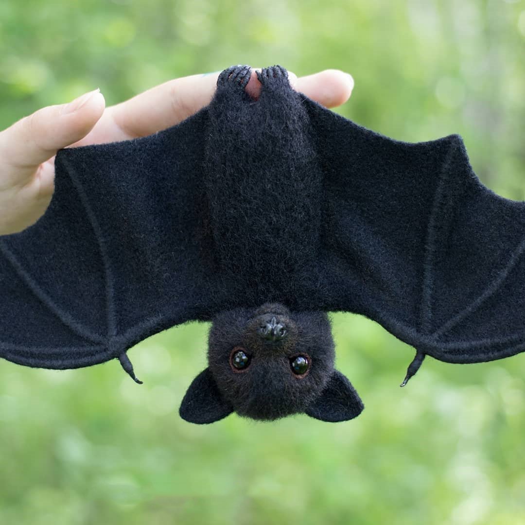 Летучая мышь Пуэрто-Рико