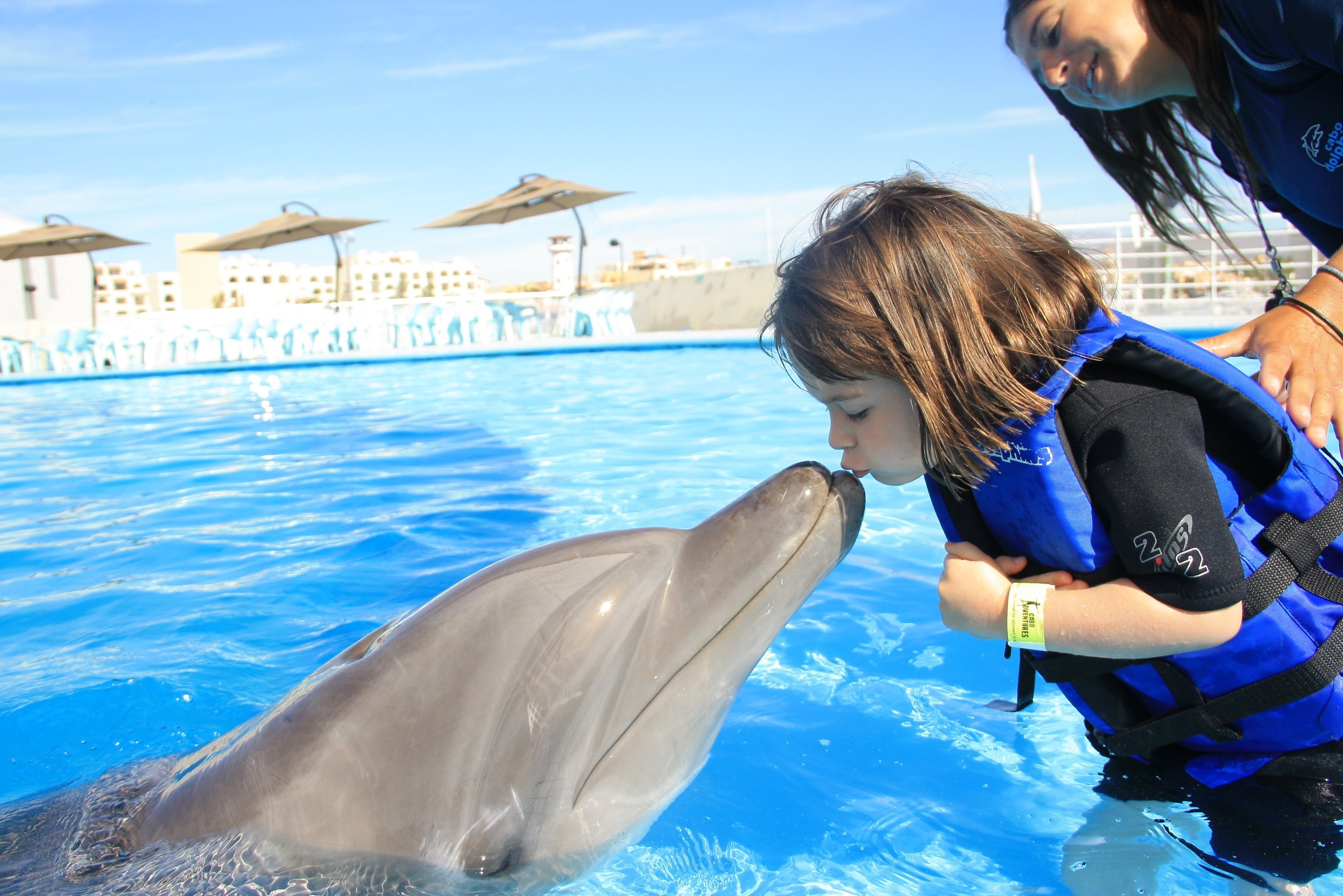 Дельфины с удовольствием разучивают. Дельфин Свимминг Кемер. Плавать с дельфинами. Дельфины для детей. Плавание с дельфинами дети.