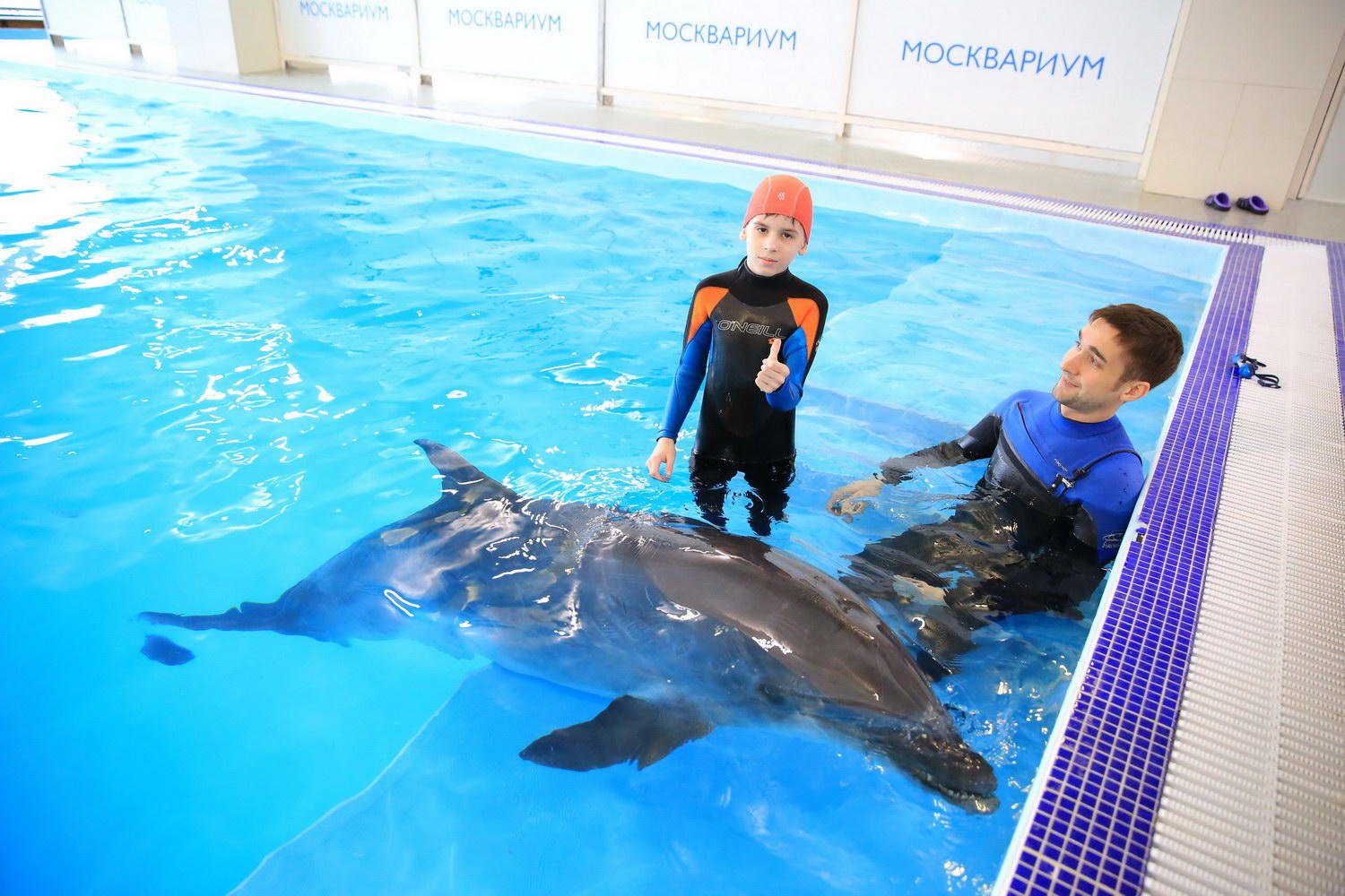 Сайт центра дельфин. Москвариум дельфинарий. Москвариум дельфины. Москвариум плавание с дельфинами. Дельфинотерапия ВДНХ.