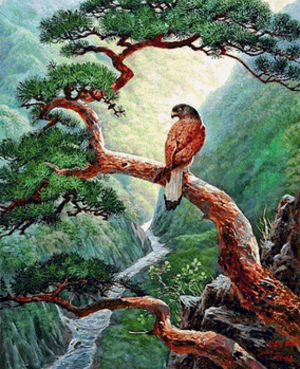 Сорока длиннохвостая