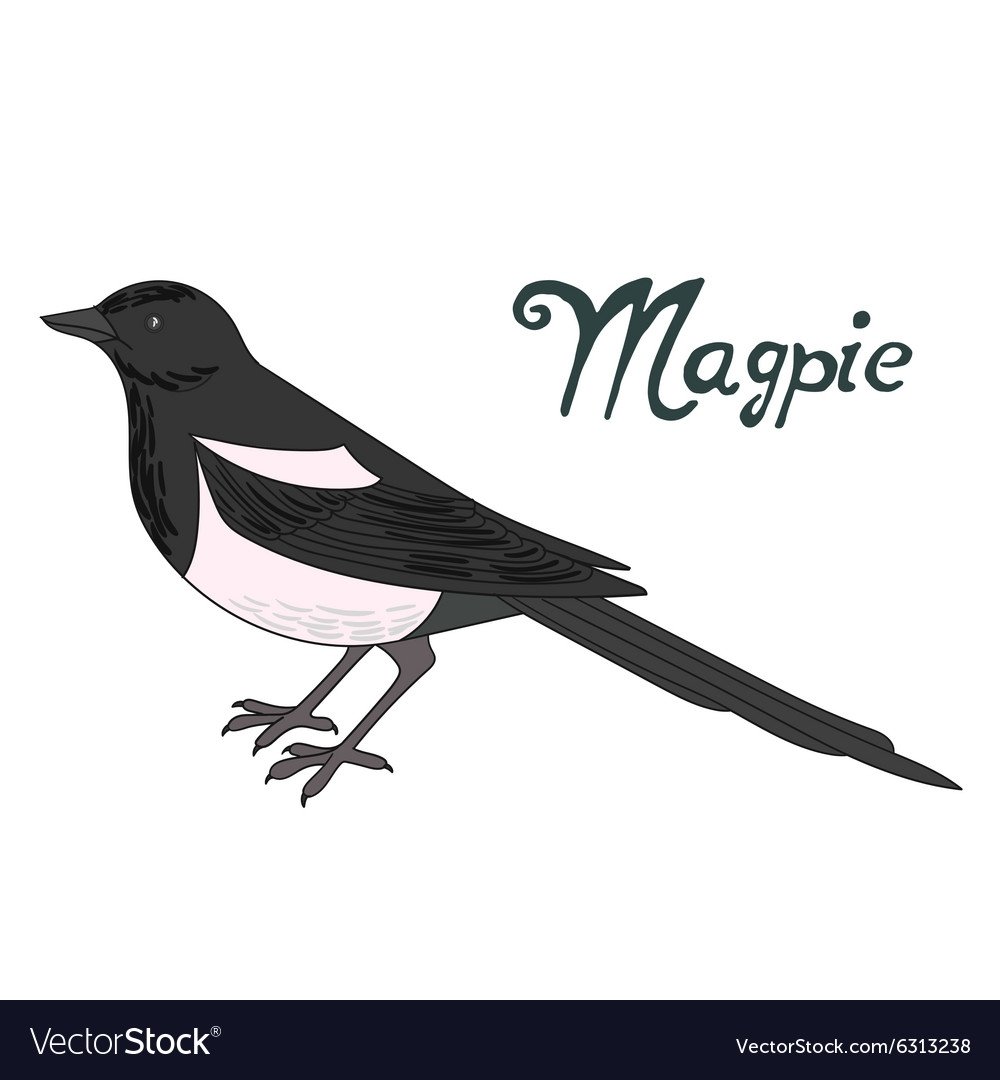 Сорока птица в живописи