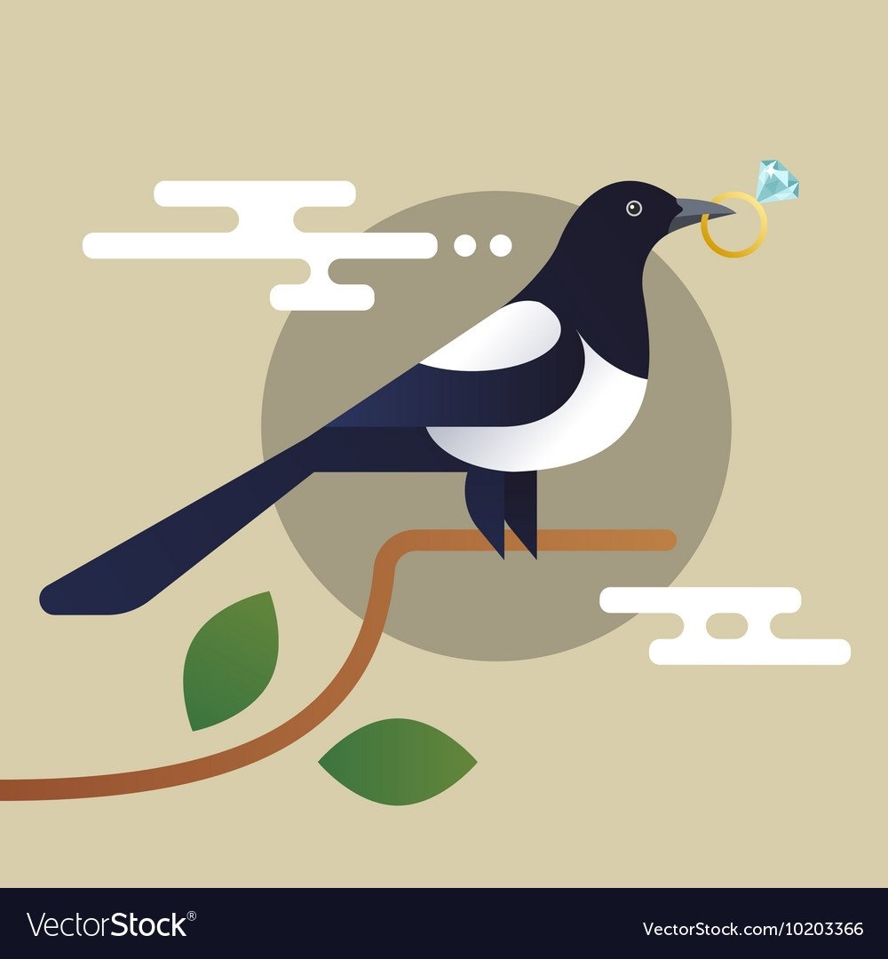 Сорока Перелетная птица