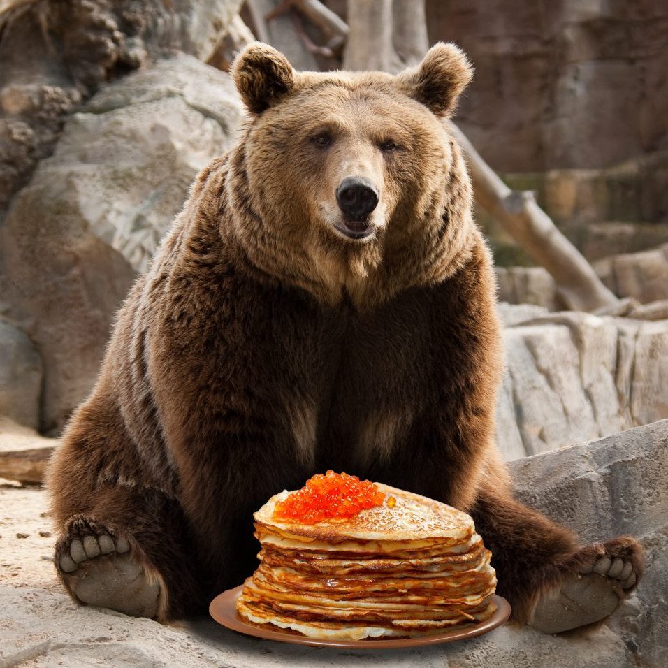 Медведь с блинами