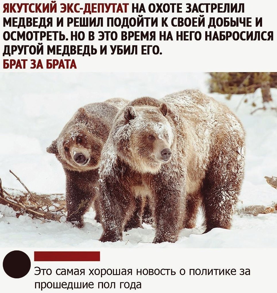 Спящий медведь