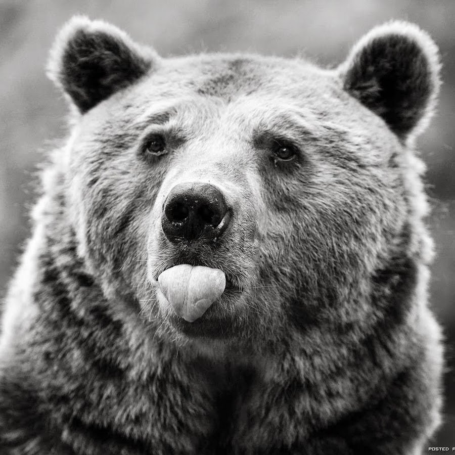 Максим Ключанский