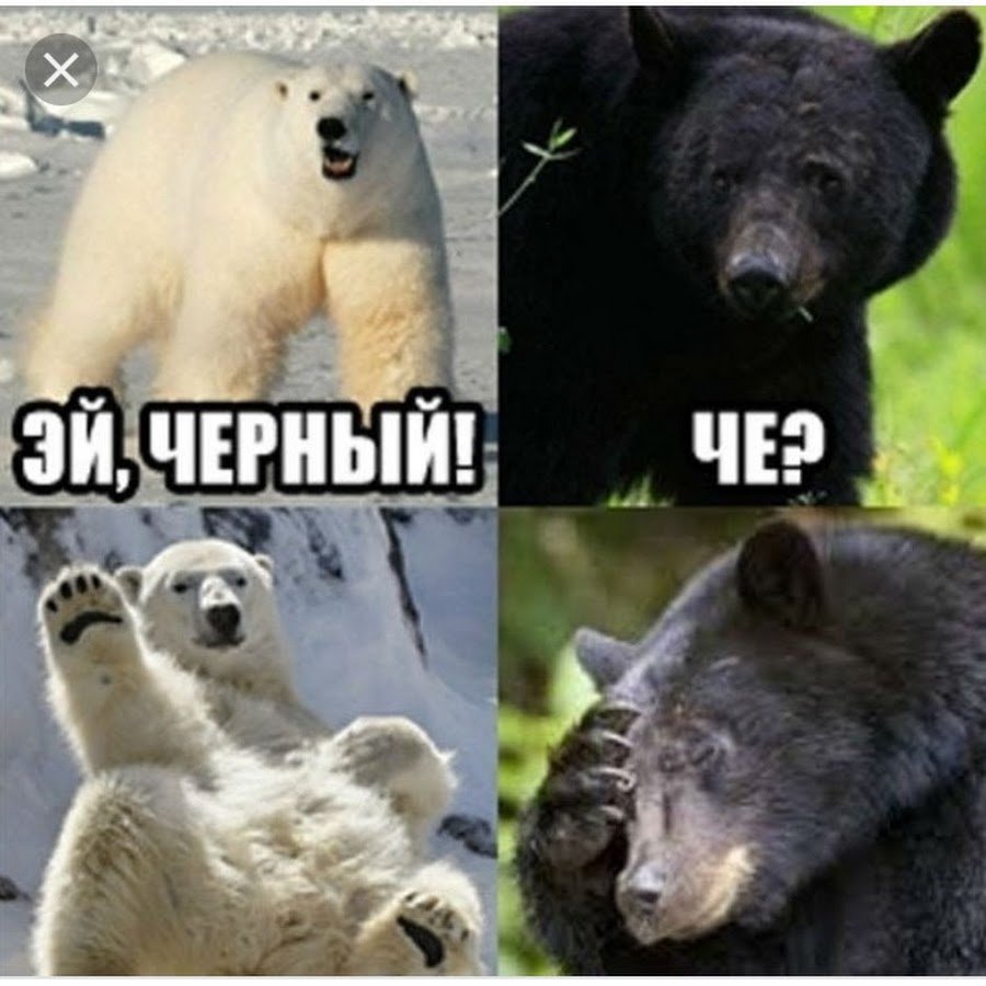 Русский медведь проснулся