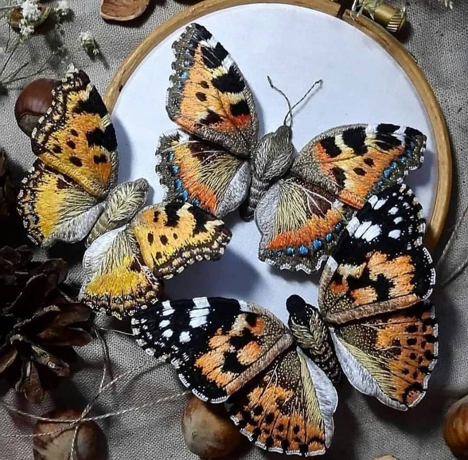 Бабочки Эстетика