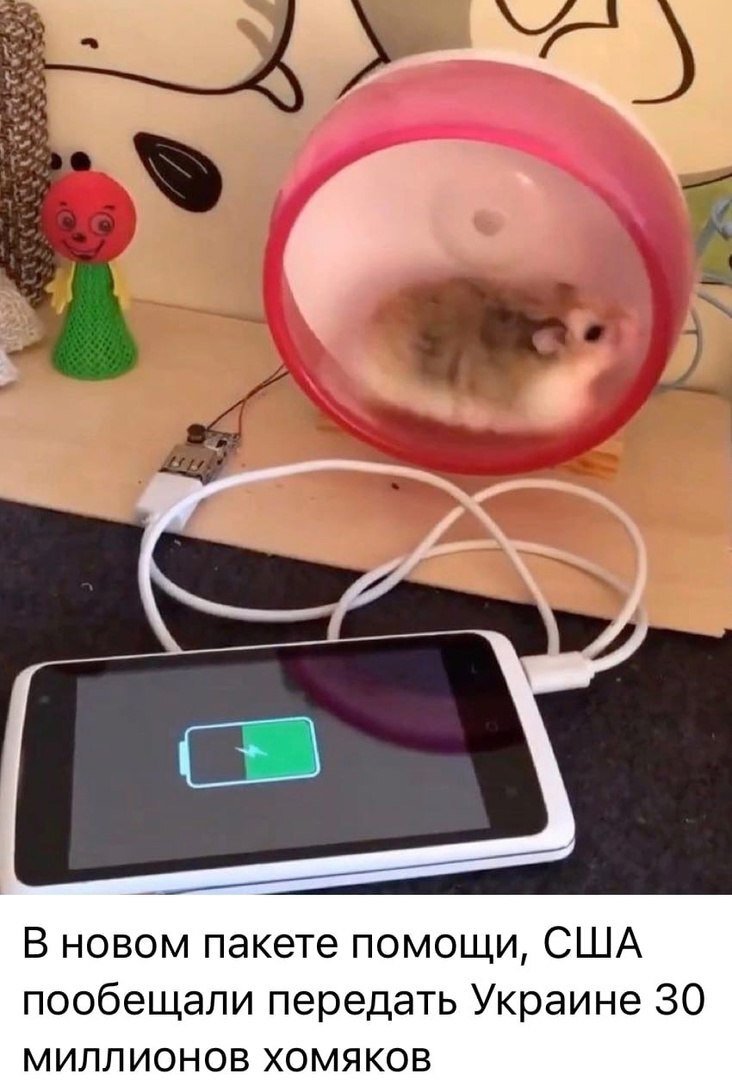 Хомяк с телефоном