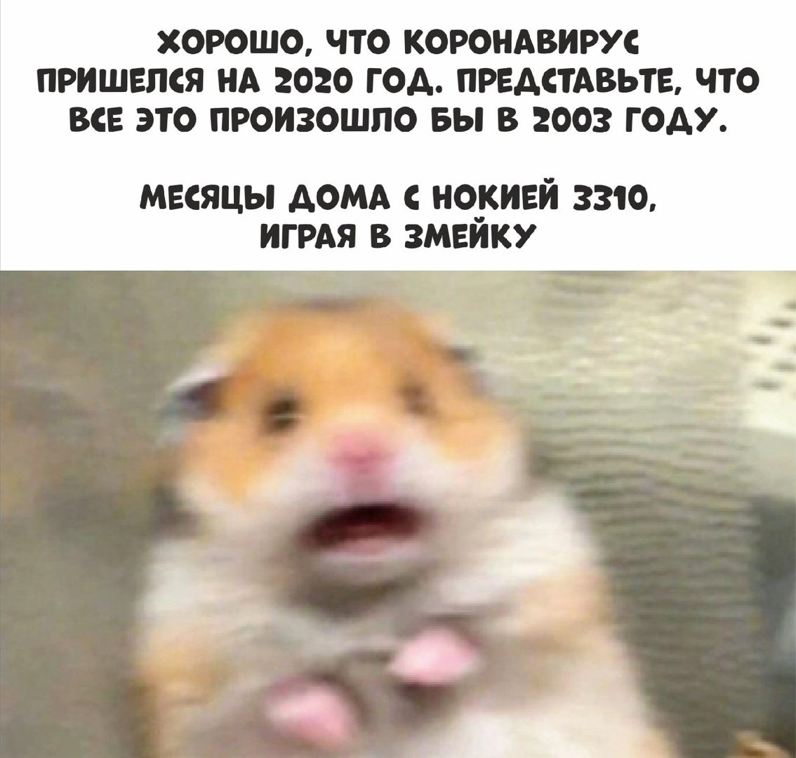 Хомяк смеется