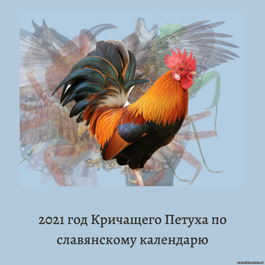 2021 Годкричащего пктуха