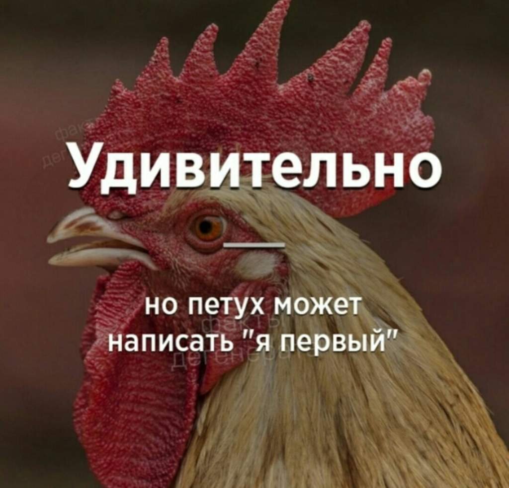 Петух мемы